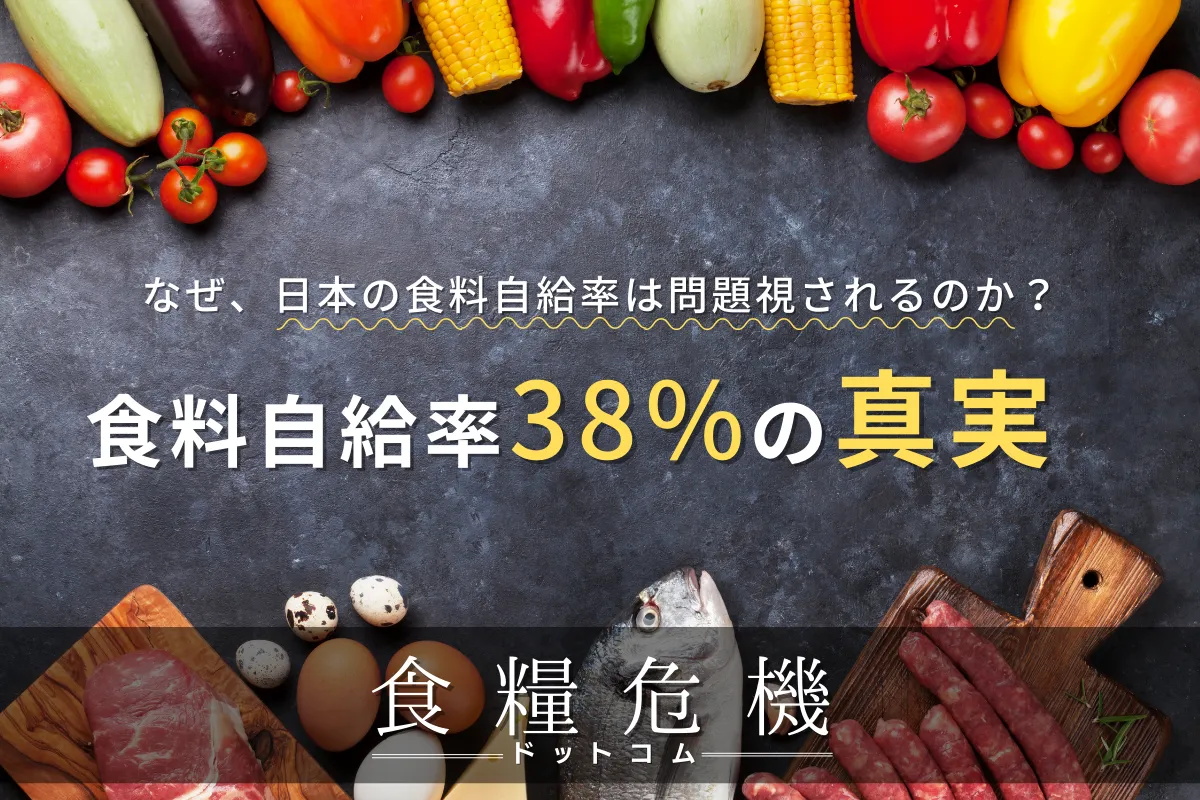 食糧自給率38%の真実