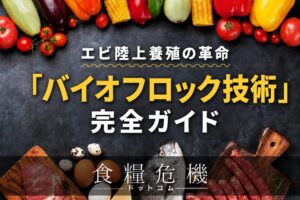 エビ陸上養殖の革命「バイオフロック技術」完全ガイド