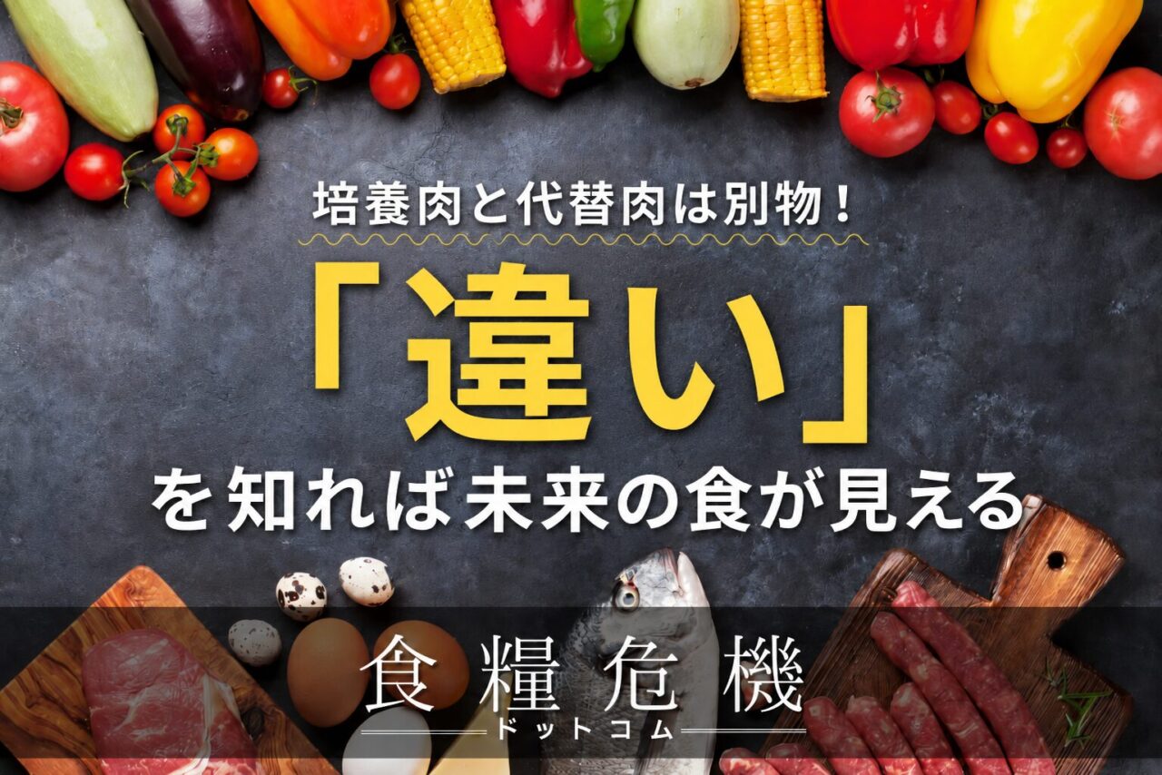 培養肉と代替肉は別物！「違い」を知れば未来の食が見える
